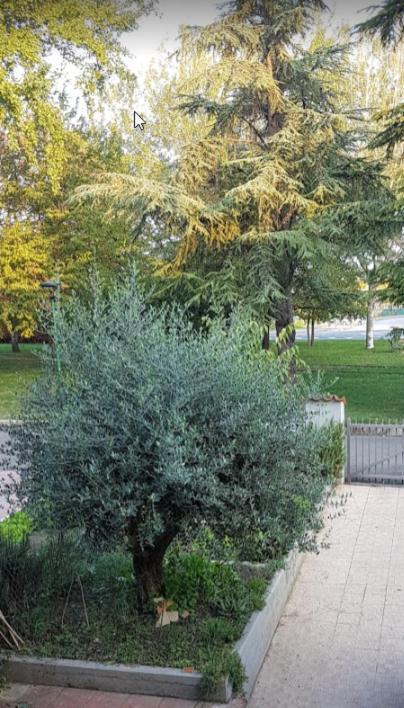 Villa Elsa, Cesena Zona Ippodromo Ngoại thất bức ảnh